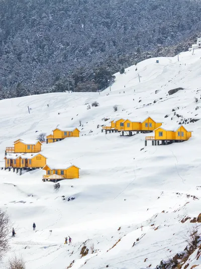 Auli Tour with Joshimath - Char Dham Yatra Package
