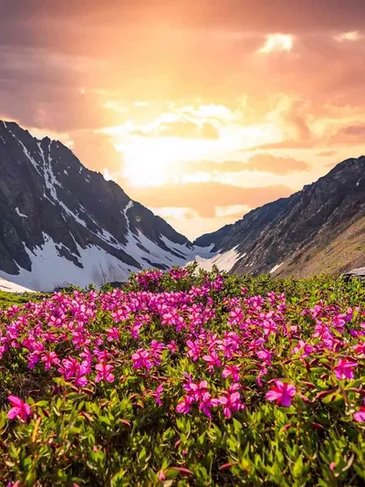 Hemkund Tour with Valley of Flowers - Char Dham Yatra Package
